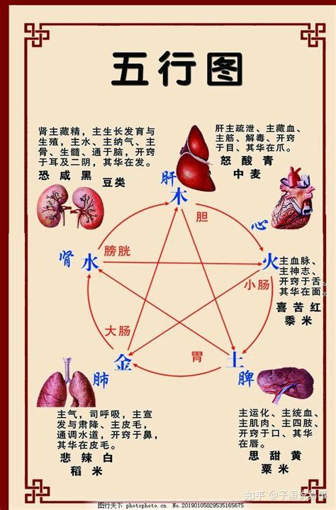 五行平衡|五行齐全的利与弊(初学者必备)